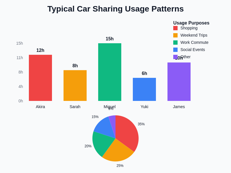 Car Sharing Usage Statistics