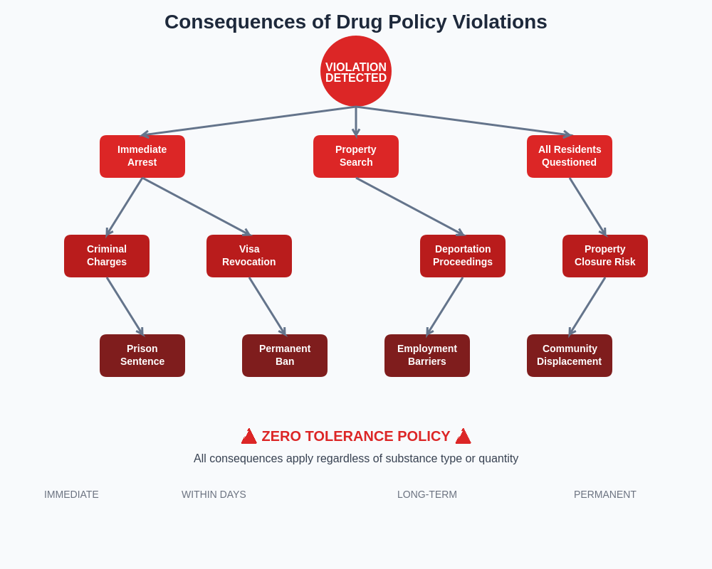 Enforcement Consequences Flowchart
