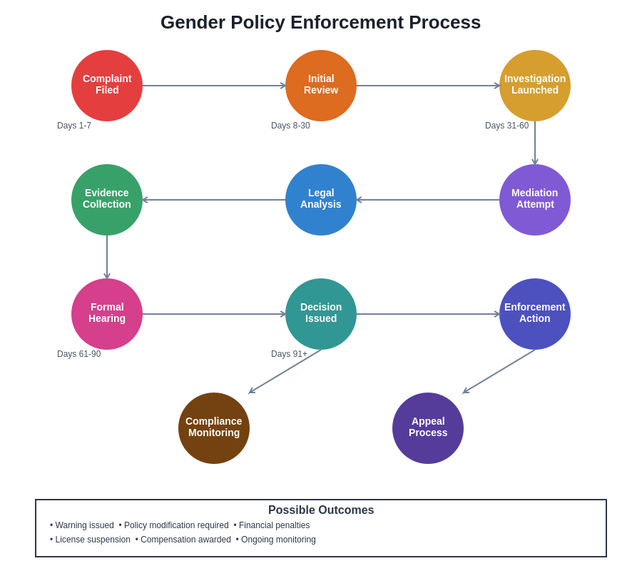 Enforcement Process Chart