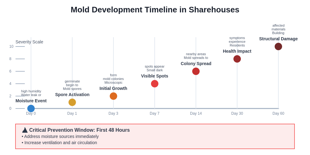 Mold Development Timeline