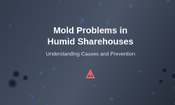 Featured image of post How Mold Problems Develop in Humid Sharehouses
