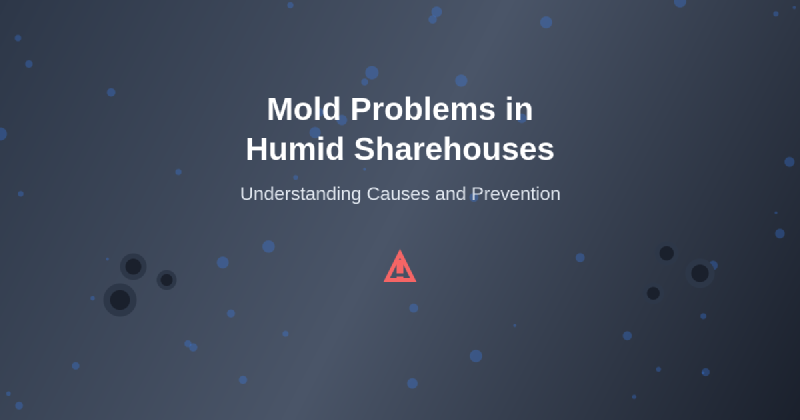 Featured image of post How Mold Problems Develop in Humid Sharehouses