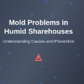 How Mold Problems Develop in Humid Sharehouses