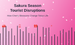 Featured image of post How Sakura Season Brings Tourist Disruptions