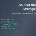 How Student Budgets Require Different Strategies