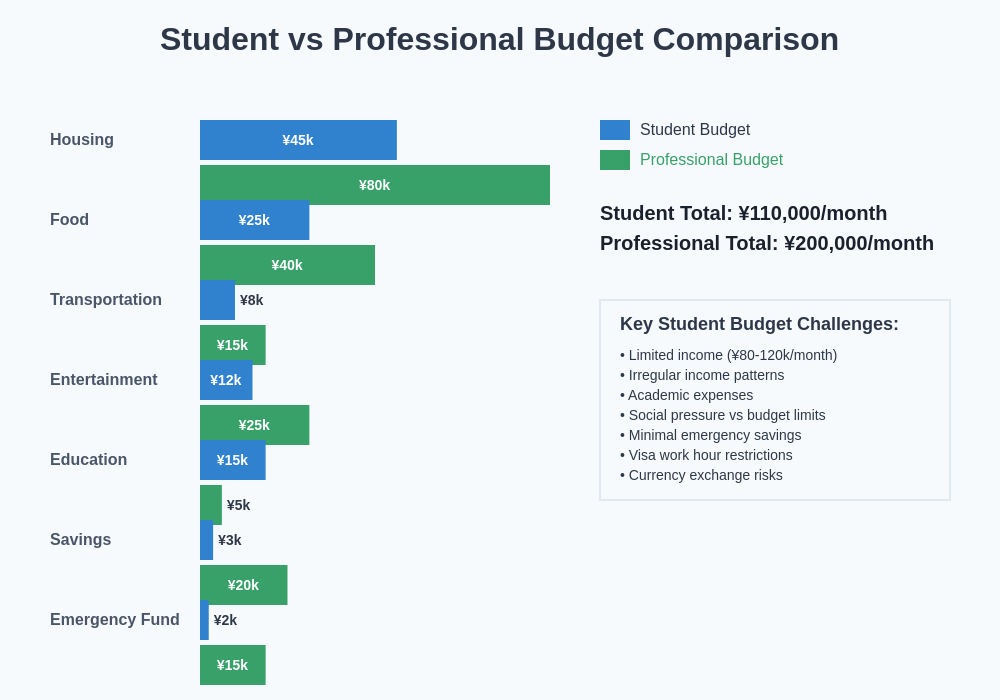 Student vs Professional Budget Comparison