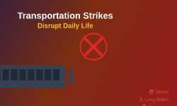 Featured image of post How Transportation Strikes Disrupt Daily Life
