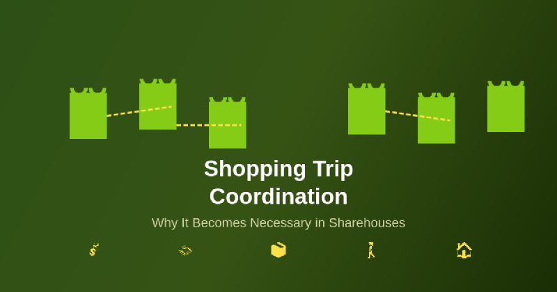 Featured image of post Why Shopping Trip Coordination Becomes Necessary