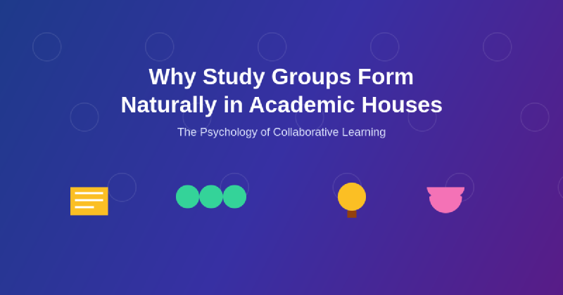 Featured image of post Why Study Groups Form Naturally in Academic Houses