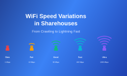 Featured image of post Why WiFi Speed Varies Dramatically Between Sharehouses